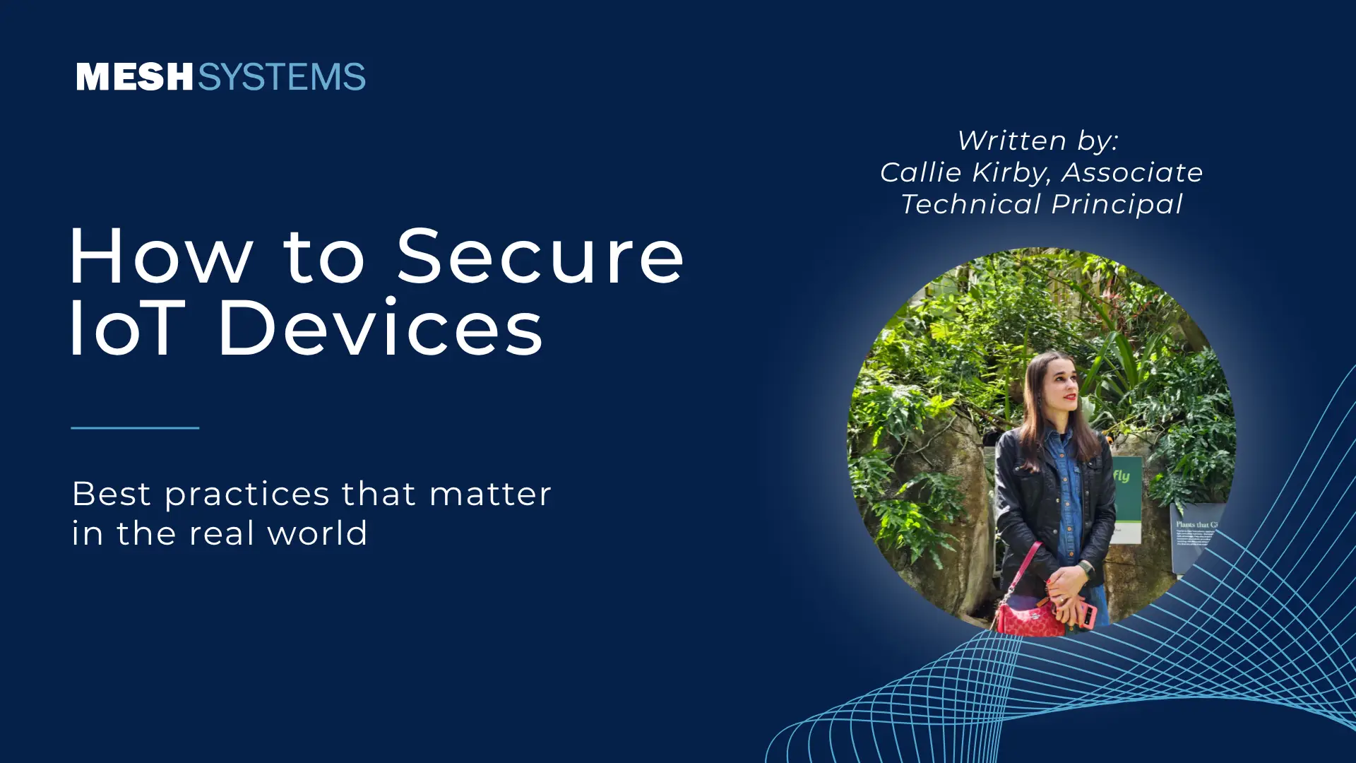 How to Secure IoT Devices | Mesh Systems Blog